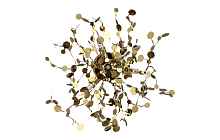 Бра Crystal Lux GARDEN AP-PL3 D400 GOLD - цена и фото Бра Crystal Lux GARDEN AP-PL3 D400 GOLD - цена и фото